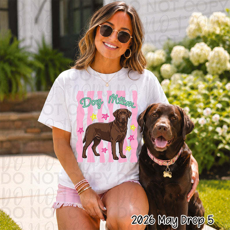 Chocolate Labrador Dog Mom