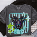 ELKS