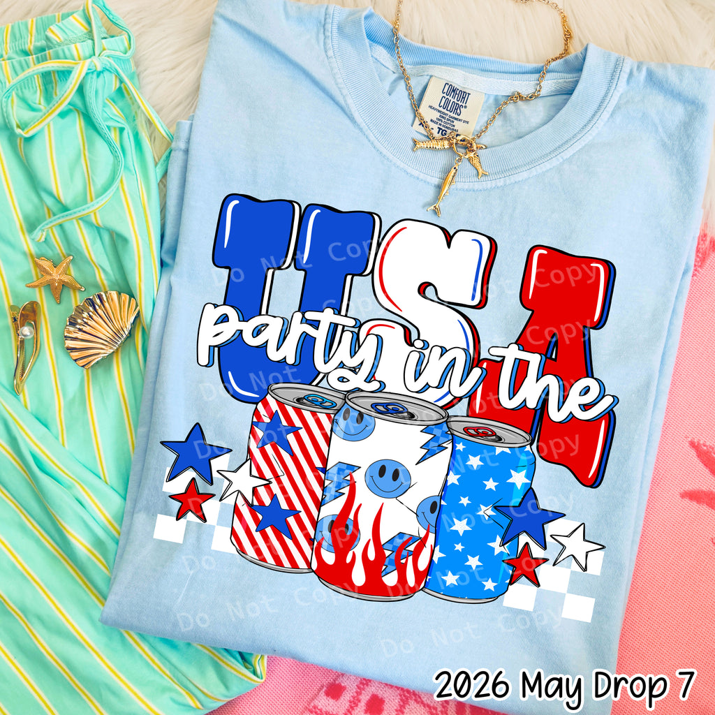 Party in the usa