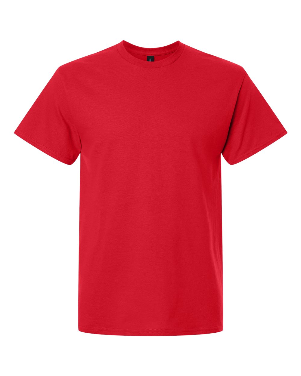 Blank Gildan Shirt