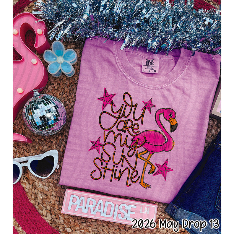 you are my sunshine flamingo