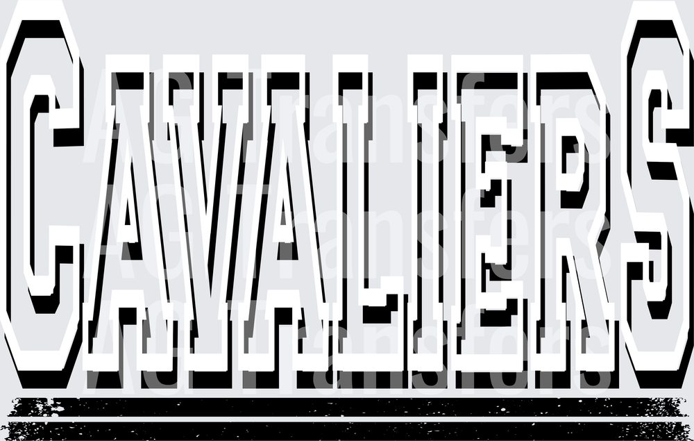 CAVALIERS(12)