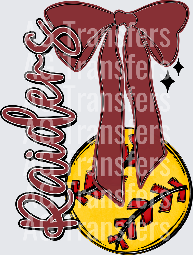 Raiders(47)
