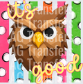 IS OWL GOOD