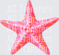 STARFISH PINK BRUSH