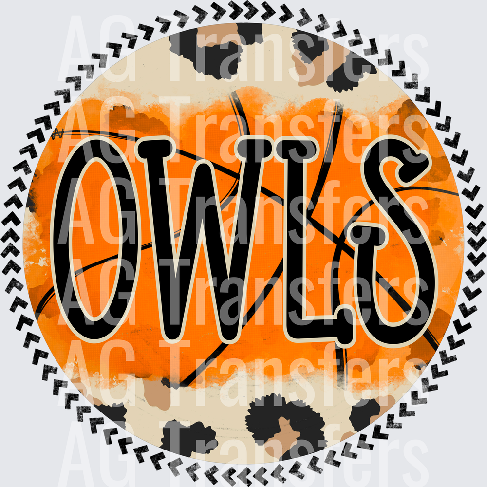 LeopardBasketballOwls