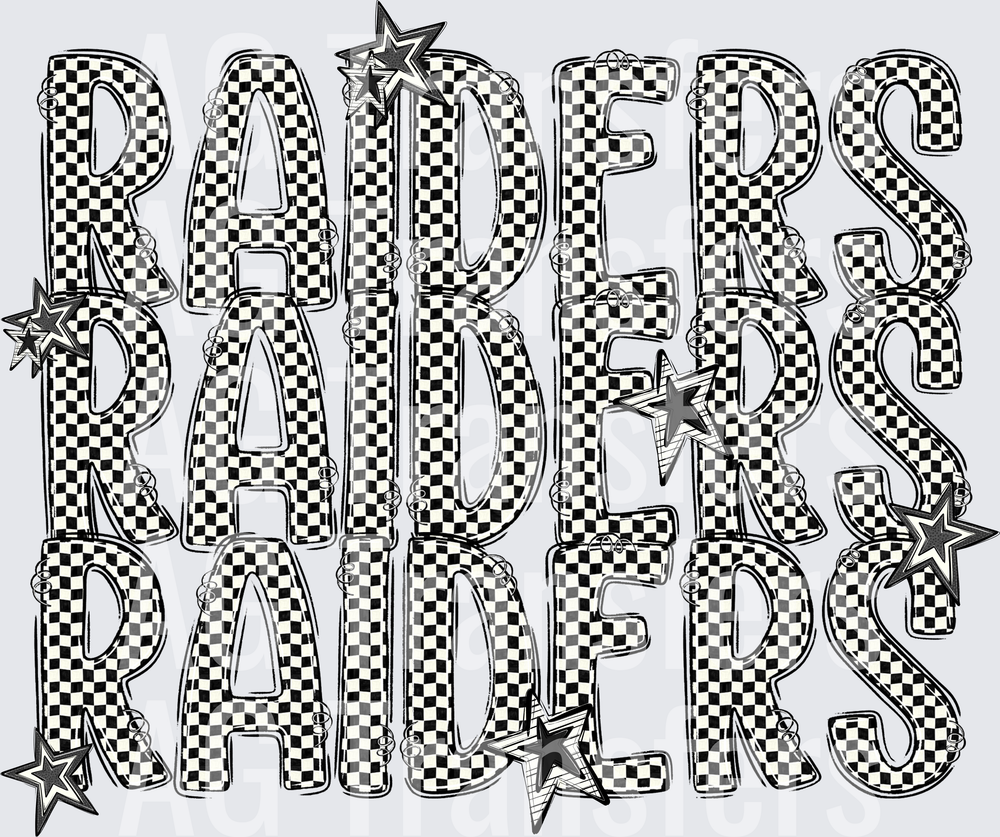 RAIDERS(239)