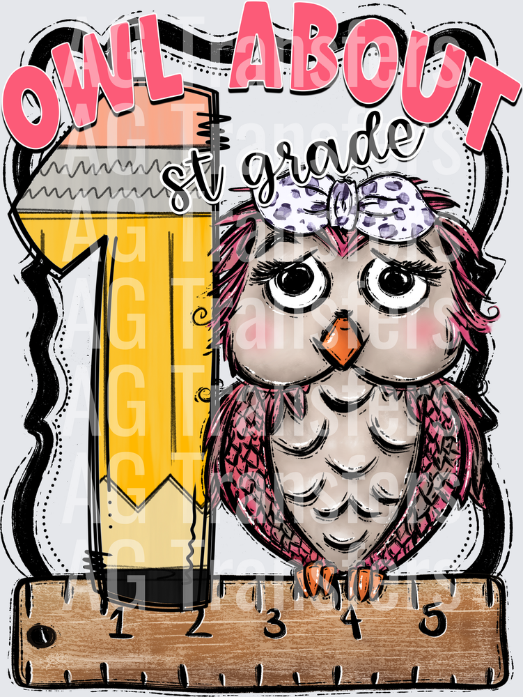 Owl About PINK FIRST GRADE
