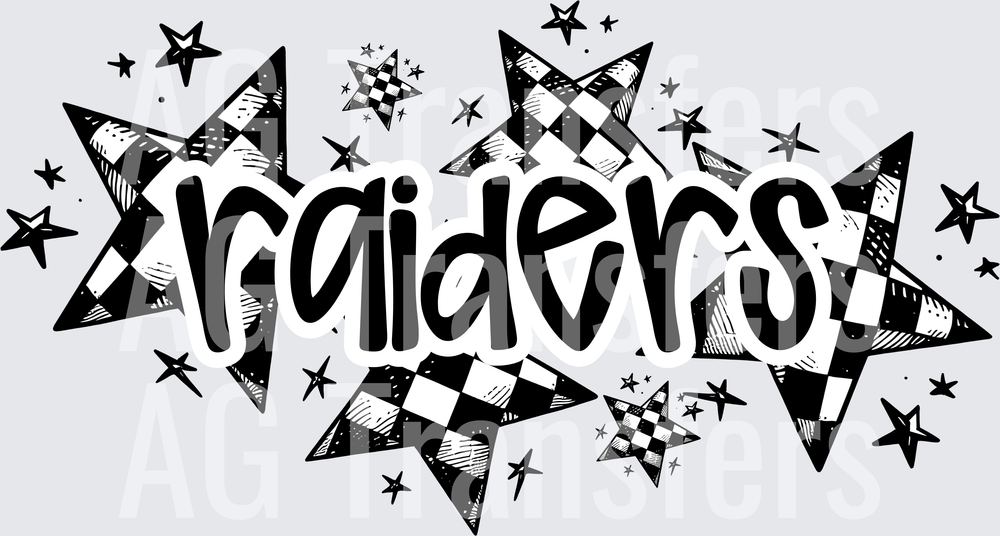 RAIDERS(119)