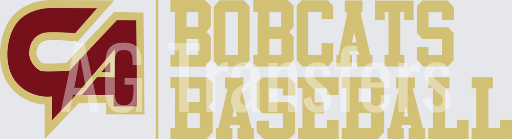 Carolina Academy Bobcats Baseball