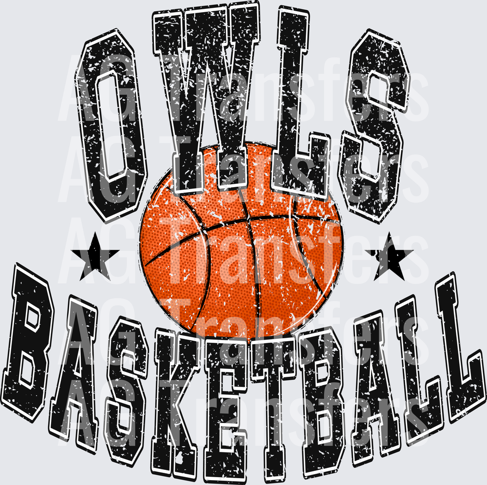 OWLS BASKETBALL