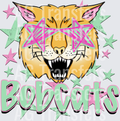Bobcats(118)