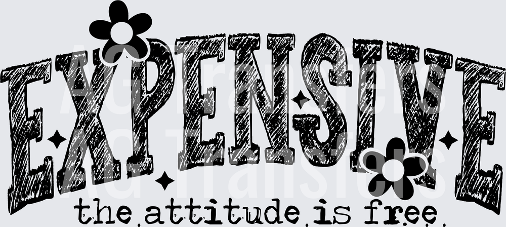 EXPENSIVE THE ATTITUDE IS FREE