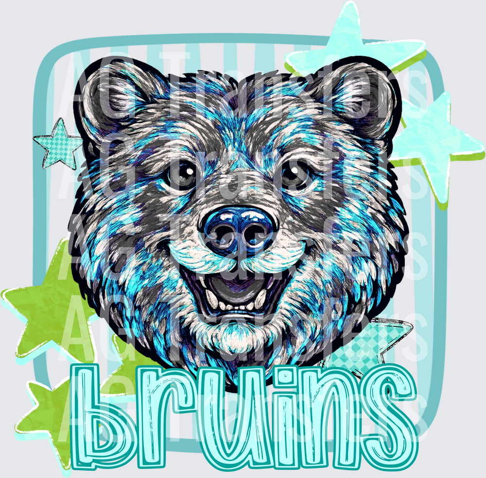 BRUINS