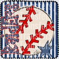 Raiders(250)