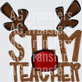 STEM TEACHER