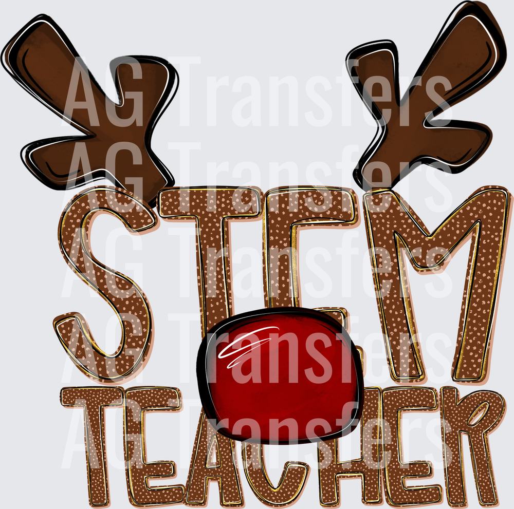 STEM TEACHER