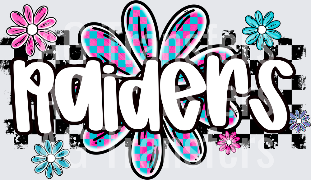 RAIDERS(283)