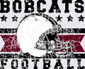 Bobcats(167)
