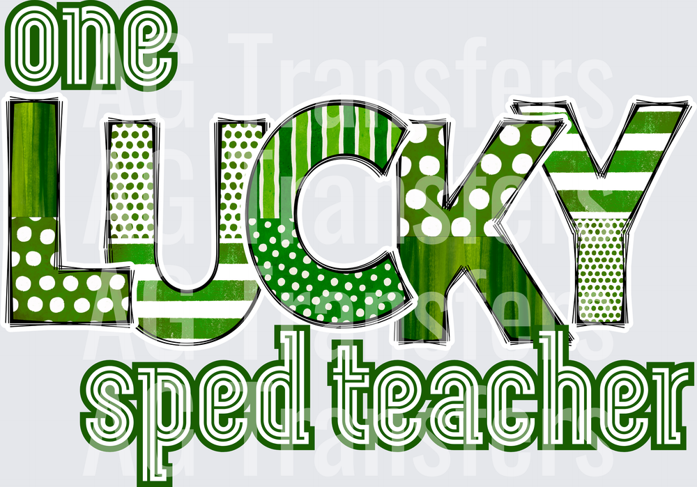 one lucky sped teacher