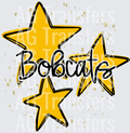 Bobcats(155)