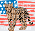 AMERICA LEOPARD