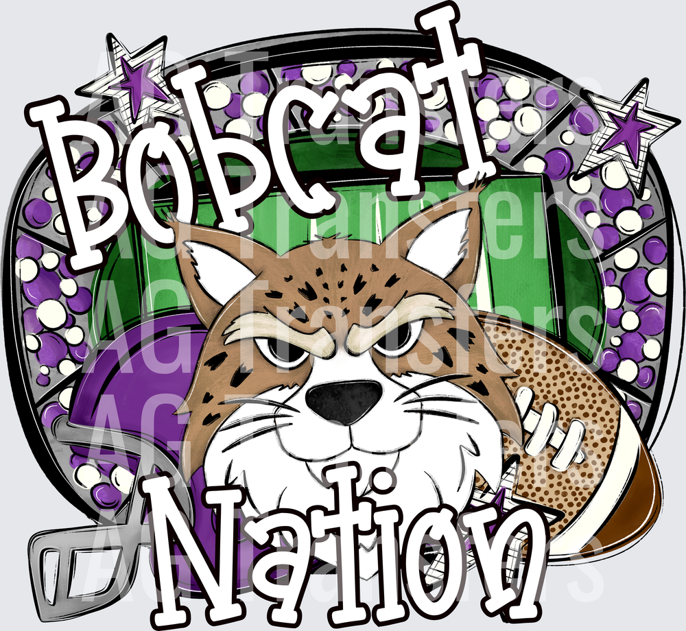 BOBCAT(31)
