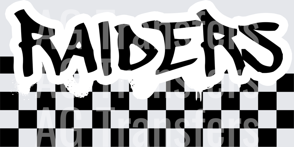 RAIDERS(176)