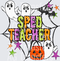 SPED TEACHER(8)