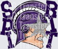 Starry Eyed Viking Raider Purple Silver