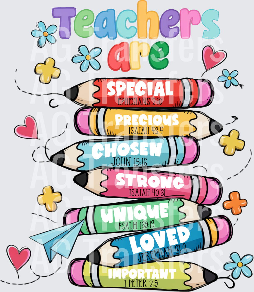 Teachers are