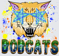 Bobcats(501)