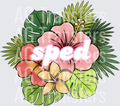 tropical sped