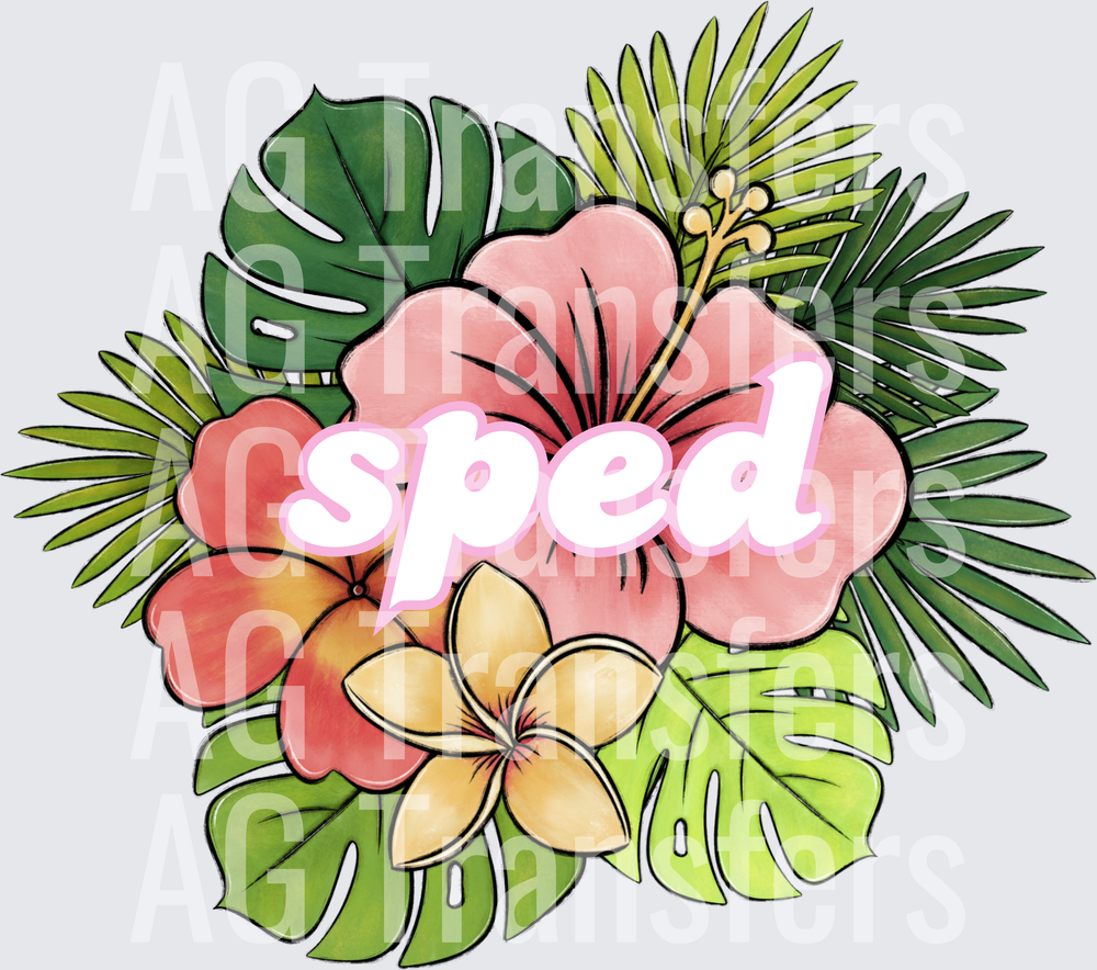 tropical sped