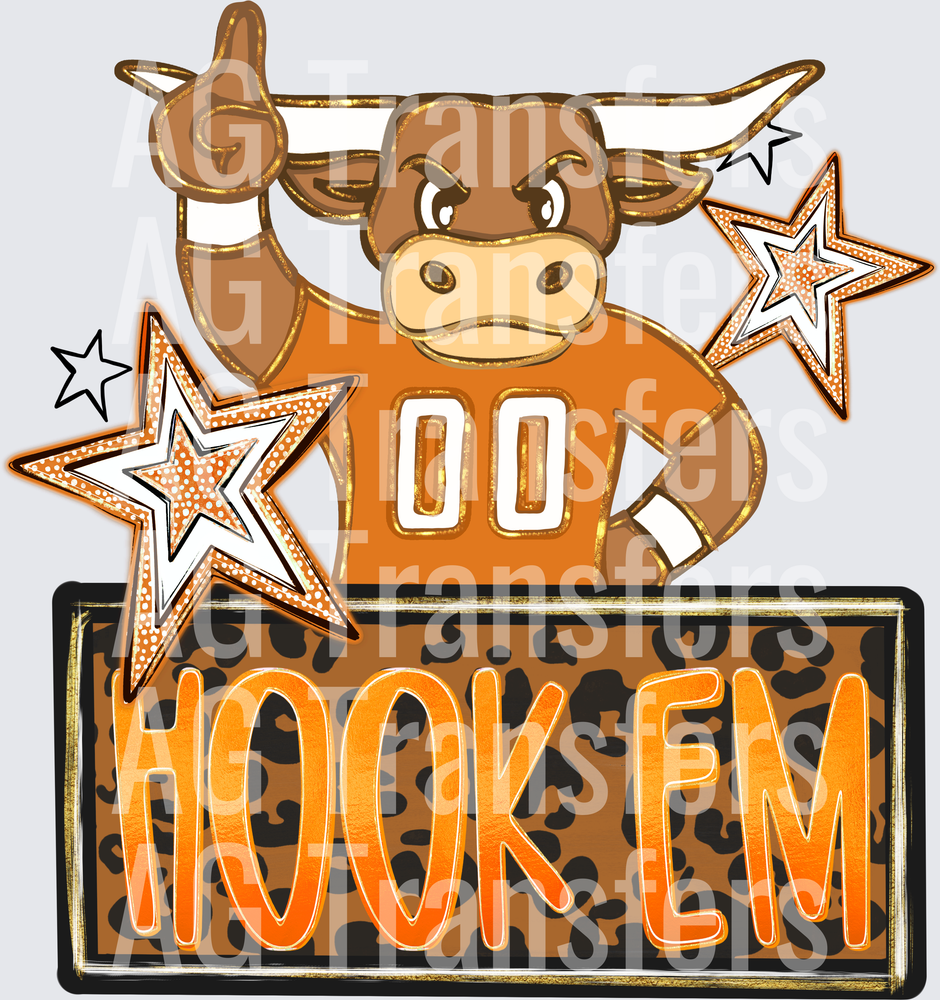 Hook em