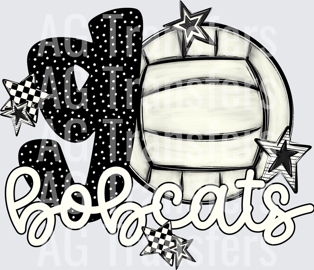 BOBCATS(552)