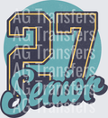 SENIOR DISTRESSED DENIM 27