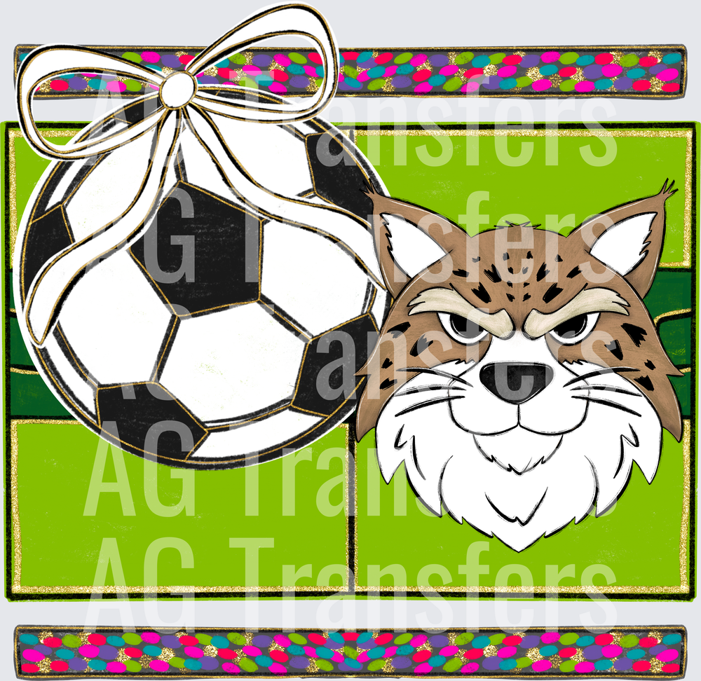 Bobcats(145)
