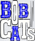 Bobcats Blue and White