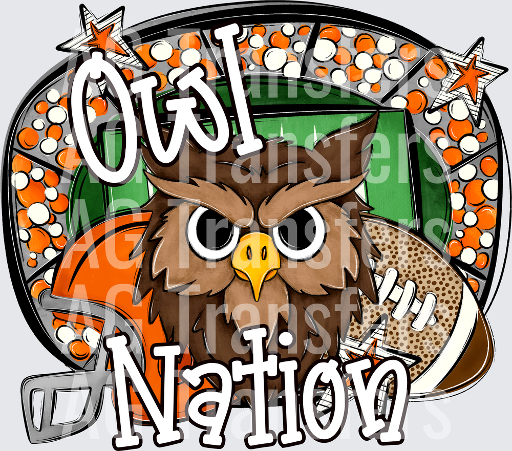 OWL2(1)