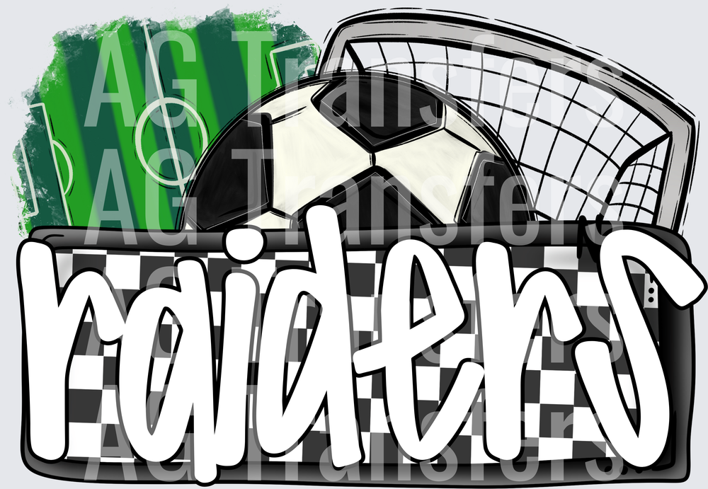 RAIDERS(229)
