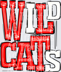 Wildcats Red White