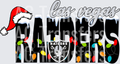 las vegas raiders(3)