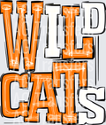 Wildcats Orange and White