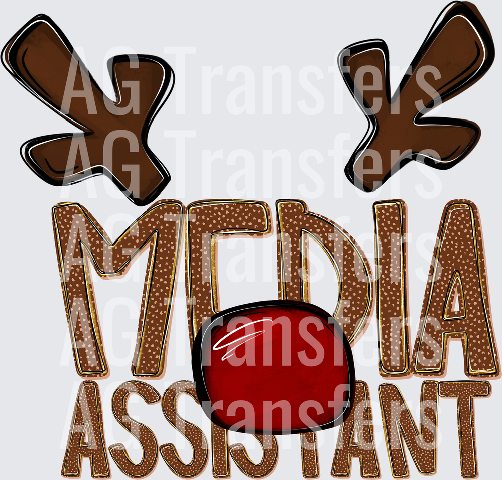 MEDIA ASSISTANT