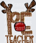 PE TEACHER