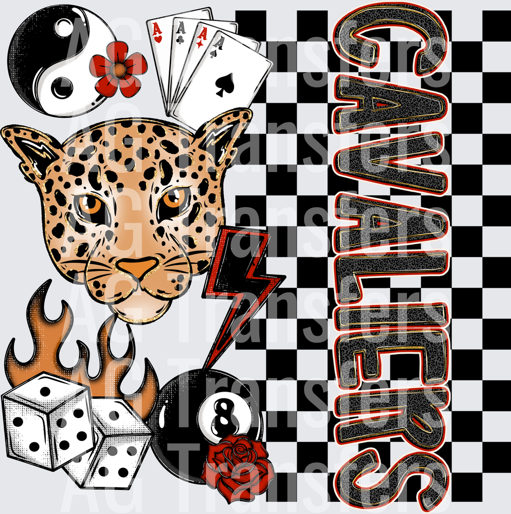 CAVALIERS(17)