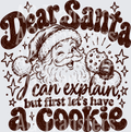 DEAR SANTA I CAN EXPLAIN COOKIE