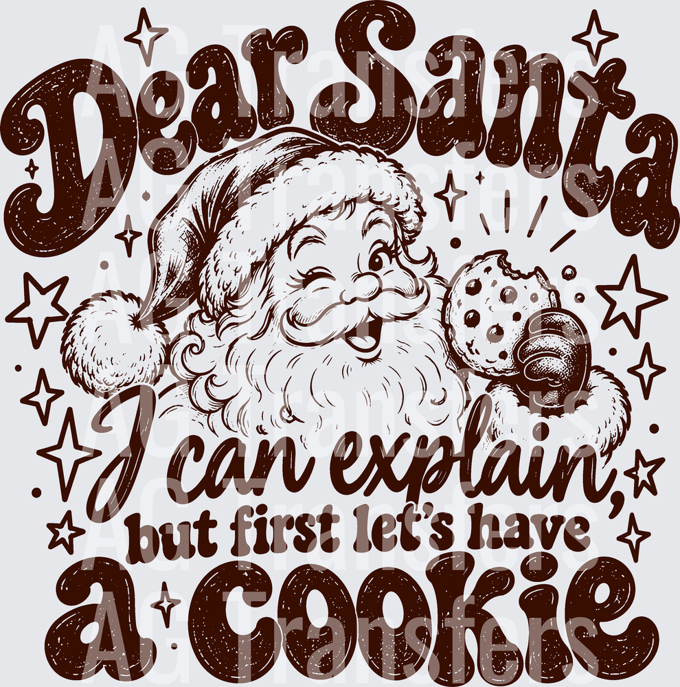DEAR SANTA I CAN EXPLAIN COOKIE