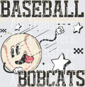 Bobcats(534)